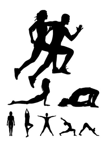 Fitness & Activewear