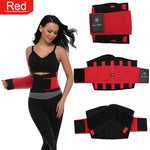 Armon- Waist Belt Cincher