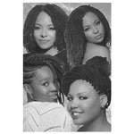 POSTER 102 24x36in 4in1-BRAIDS & TWISTS
