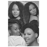 POSTER 102 24x36in 4in1-BRAIDS & TWISTS